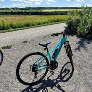 2020 Trek Dual Sport 2 Womens Teal