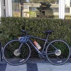 2019 REI CTY1.2 Black and Yellow or Gold