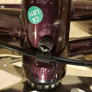 2015 Schwinn Jenny Purple and White