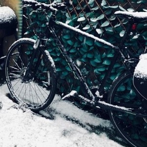 Norco Bikes XFR Black and Green