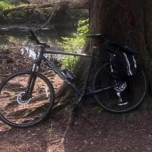 Norco Bikes XFR Black and Green