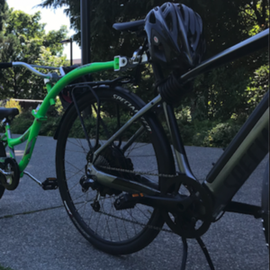 2015 Specialized Turbo Base Silver, gray or bare metal