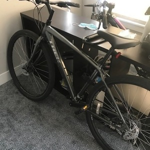 2019 Trek Verve Silver, gray or bare metal