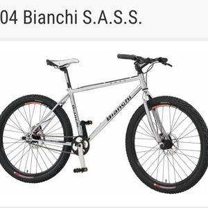 2003 Bianchi 49cm, silver saddle, flat bars, singl... Silver, gray or bare metal