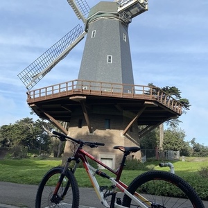 2020 Polygon Red