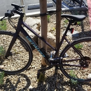 2018 Specialized SIRRUS Purple