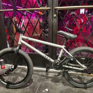 2020 BSD BSD-ALVX AF Silver, gray or bare metal