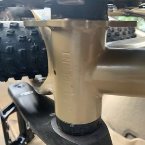 2021 Surly Instigator Yellow or Gold