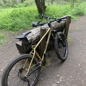2021 Surly Instigator Yellow or Gold