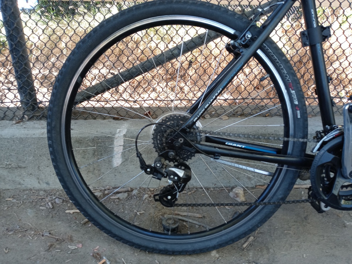 Bike photo