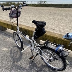 Bike Friday New World Tourist White