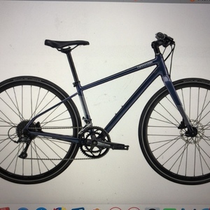 2020 Cannondale Quick 2 Purple and Green
