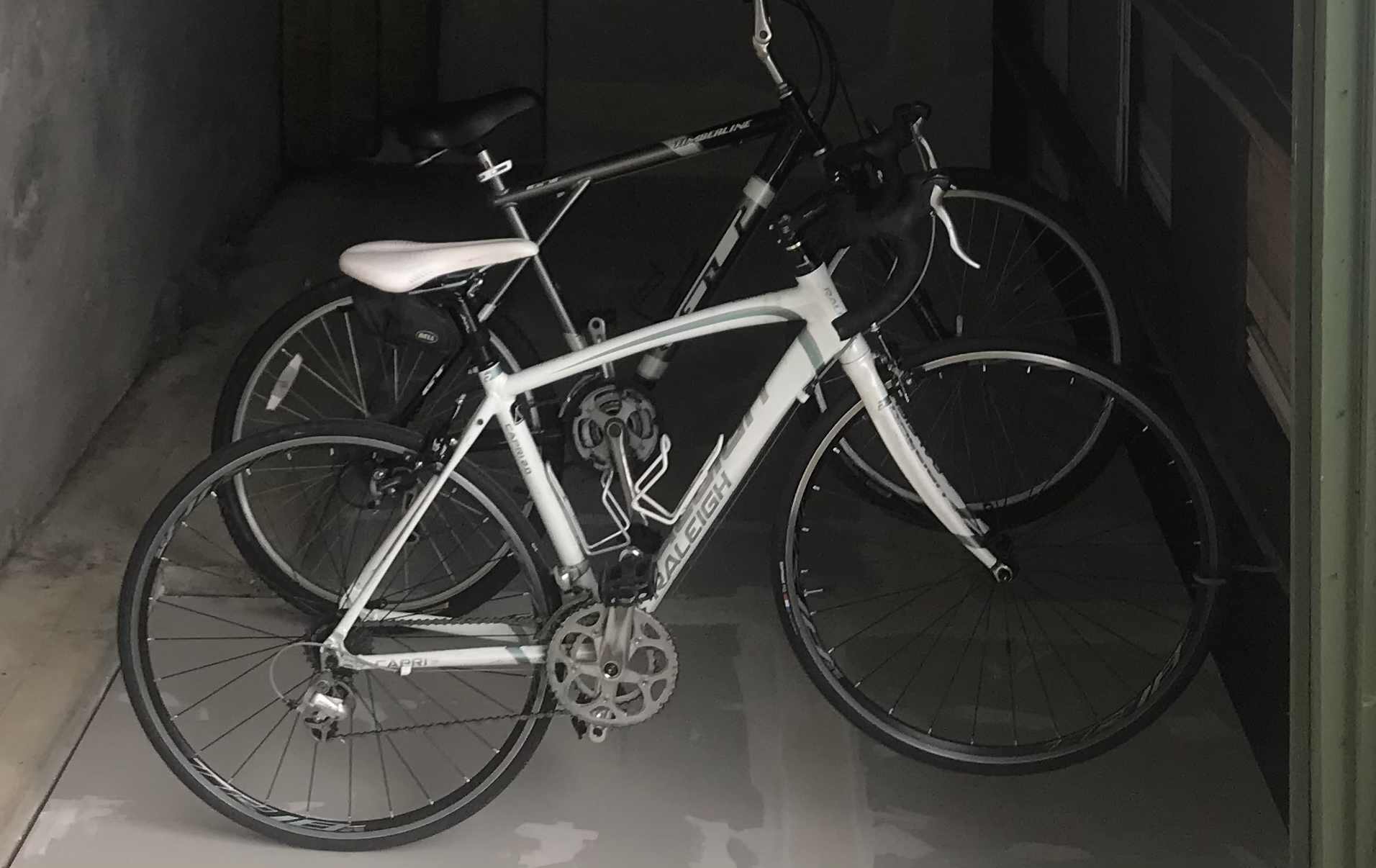 Stolen 2011 Raleigh Capri 2.0