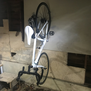 2011 Raleigh Capri 2.0 White