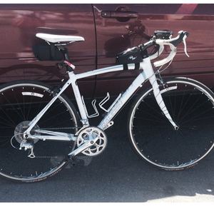2011 Raleigh Capri 2.0 White