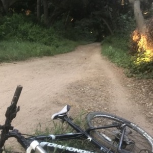 2014 Diamondback Lux Sport Black