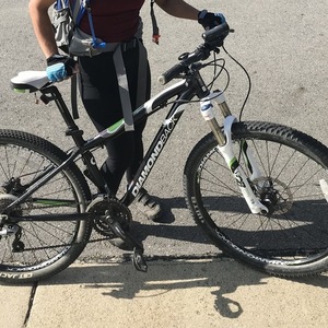 2014 Diamondback Lux Sport Black