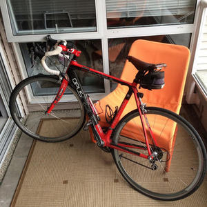 2011 Opus Amadeus Red and Black