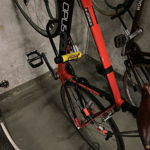 2011 Opus Amadeus Red and Black