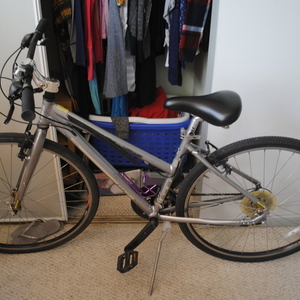 GT Bicycles Womens M Silver or Gray