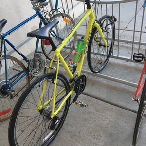 2017 Giant Escape L Yellow or Gold