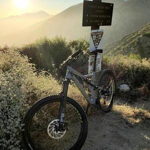 2020 Specialized Stump Jumper FSR Silver, gray or bare metal and Green