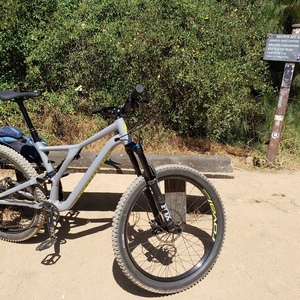 2020 Specialized Stump Jumper FSR Silver, gray or bare metal and Green