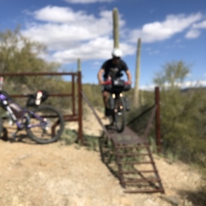 Trek Roscoe 8 WSD Purple
