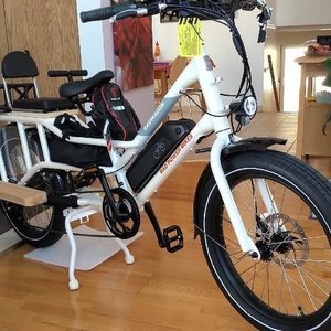 2021 Rad Power Bikes RadWagon 4 cargo bike (rear storage) White