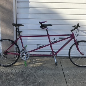 Santana Cycles Pink