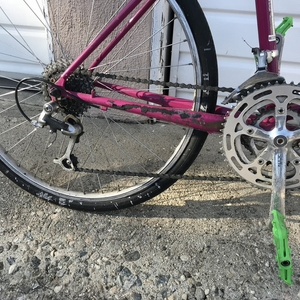Santana Cycles Pink