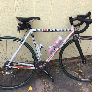 Pegoretti marcelo White