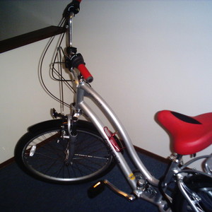 Electra Townie 21 Silver or Gray