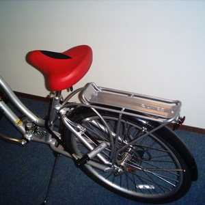 Electra Townie 21 Silver or Gray