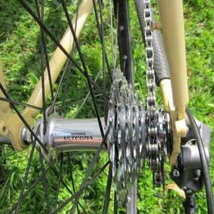 2011 Planet X Kaffenback Brown