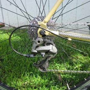 2011 Planet X Kaffenback Brown