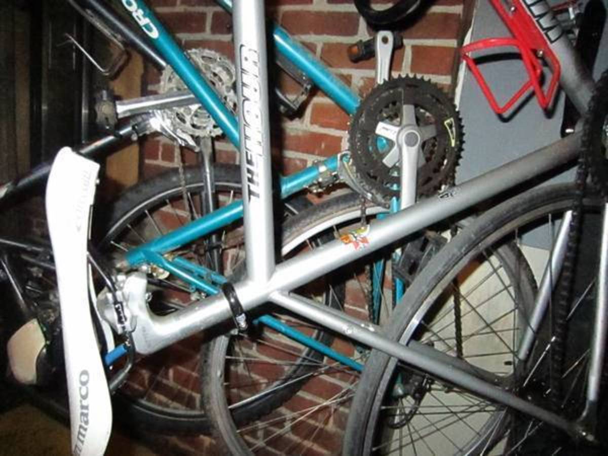 windsor the hour bike