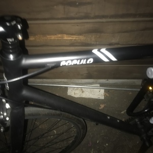 2018 Populo Metro Black