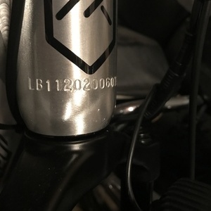 2020 Juiced Bikes RipCurrent S Silver, gray or bare metal