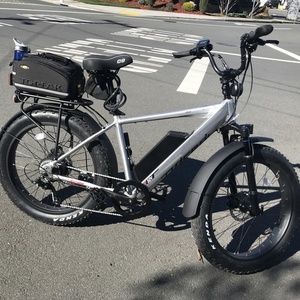 2020 Juiced Bikes RipCurrent S Silver, gray or bare metal