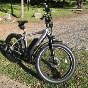 2020 Juiced Bikes RipCurrent S Silver, gray or bare metal