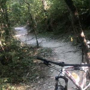 2016 Specialized Rockhopper Comp White