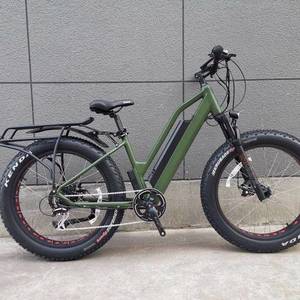 2021 Feiwei Green