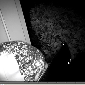 Kestrel Shimano 105 11 Speed Silver or Gray and Red