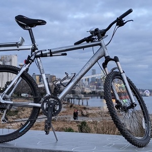 Trek 4300 Silver, gray or bare metal
