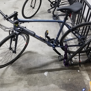 2021 Giant Escape Blue