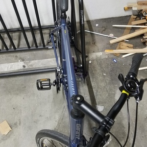 2021 Giant Escape Blue