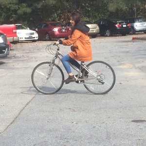 2015 Schwinn Hybrid bicycle Silver or Gray and Blue