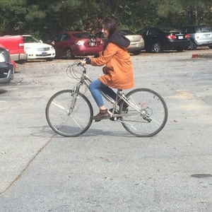 2015 Schwinn Hybrid bicycle Silver or Gray and Blue