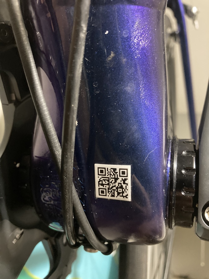 2019 Specialized Allez Sprint